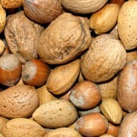 nuts in shells
