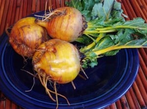 Golden Beets
