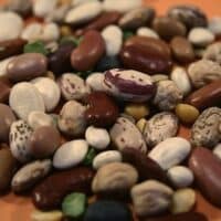 beans