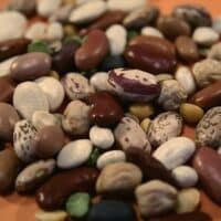 dried beans