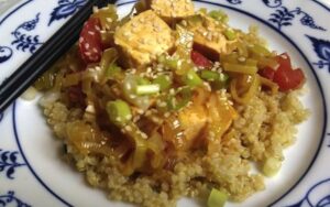 simmered tofu with leeks and tomatoes