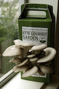 GOURMET GARDEN -sm