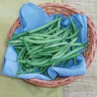 green beans