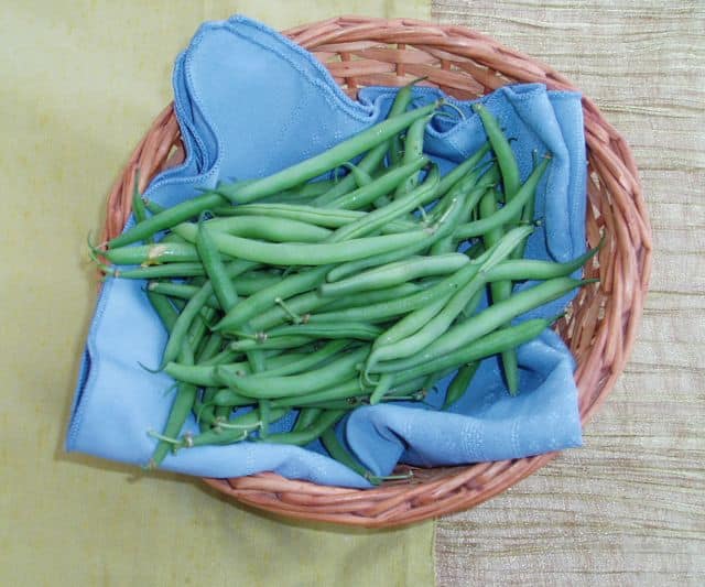 green beans