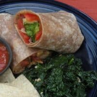 vegetable burrito