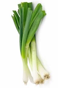 scallions
