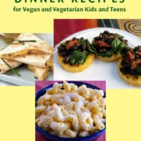 Dinner recipes e-book