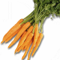 carrots