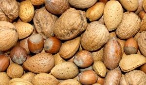 nuts in shells