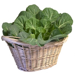 collard greens