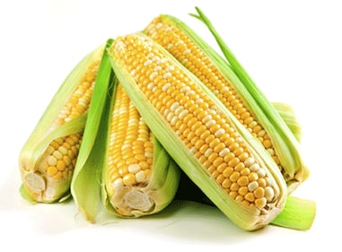 Fresh corn on the cob
