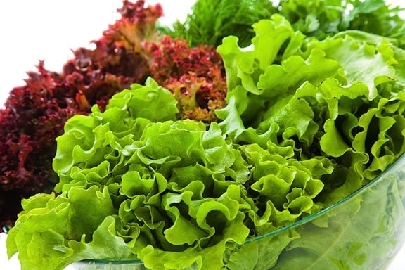 What are the different types of lettuce?