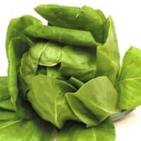 boston-lettuce