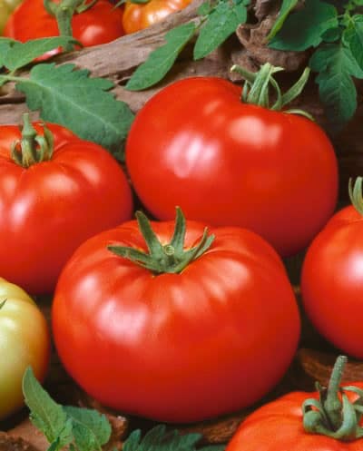 heirloom tomatoes