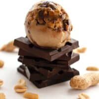 Mouse Tracks ice cream from Vegan a la Mode by Hannah Kaminsky