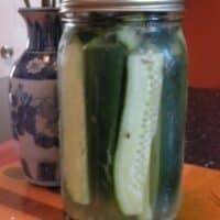 quick refrigerator pickles