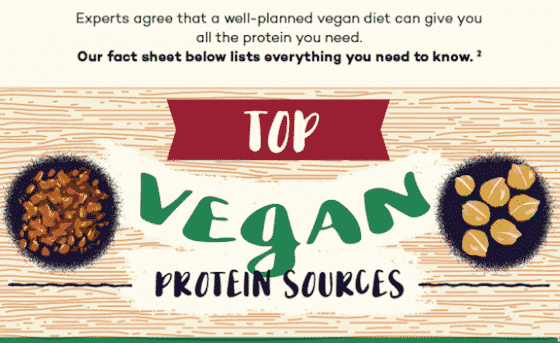 A Vegan Protein Sources Chart