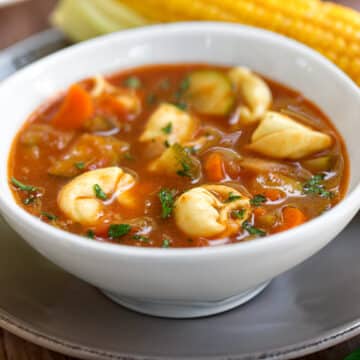 Fresh tomato soup with tortellini or ravioli