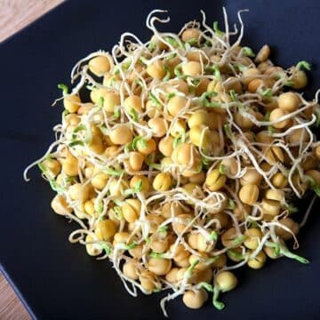 Chickpea sprouts