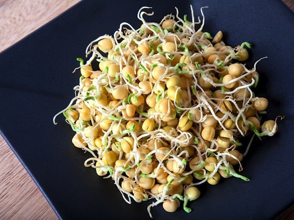 Chickpea sprouts