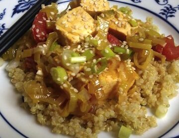 simmered tofu with leeks and tomatoes