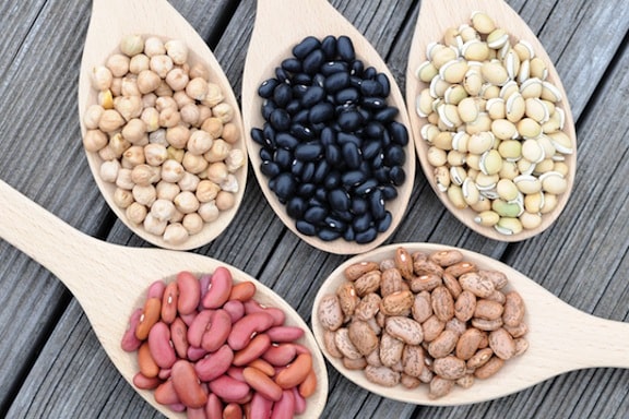 Dried bean varieties