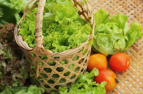 lettuce in a basket