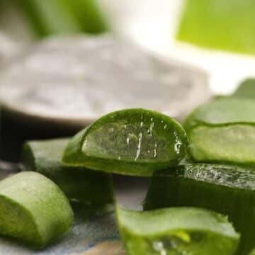 Fresh Aloe Vera leaves