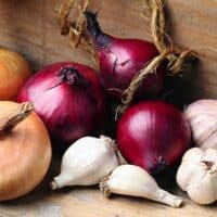 Onion and garlic varieties