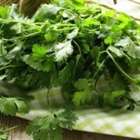 Cilantro on table