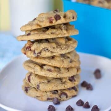 Gluten-free vegan chocolate chip cookies