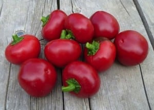 Cherry peppers