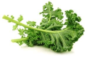 Kale leaves