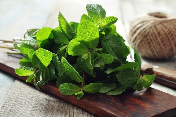 Fresh mint