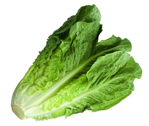 Image result for lettuce