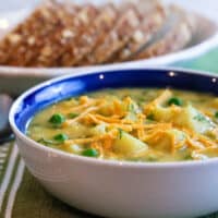 Vegan cauliflower and cheddar soup