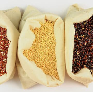 Quinoa varieties - red, tan, and black