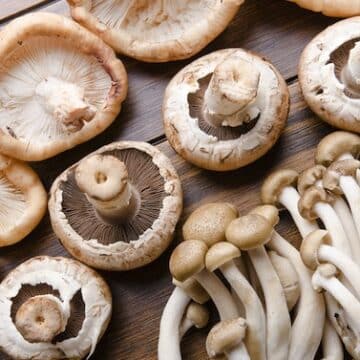 Mushroom varieties