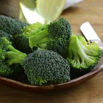 Fresh broccoli on a plate