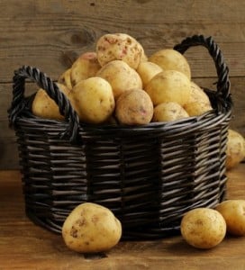 Golden potatoes in basket