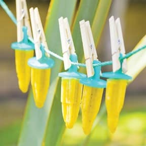 tropical tofu ice pops