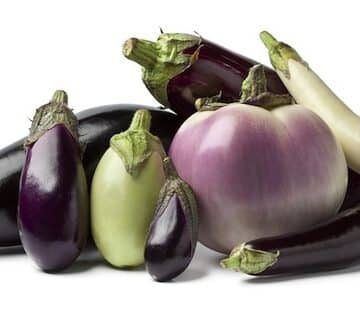 eggplant recipes