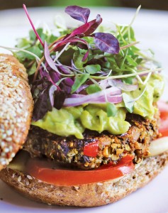 Black Bean Hemp Burger