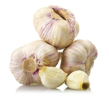 Fresh garlic