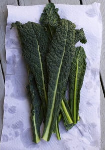 lacinato kale