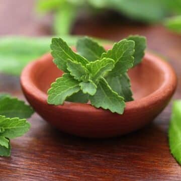 Stevia Leaf