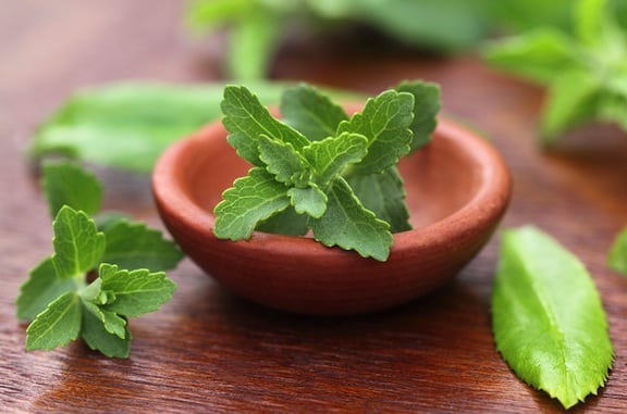 Stevia Leaf