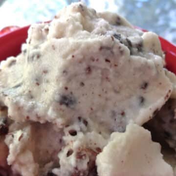 Chocolate Chip Gelato by Vicki Brett-Gach from Ann Arbor Vegan Kitchen