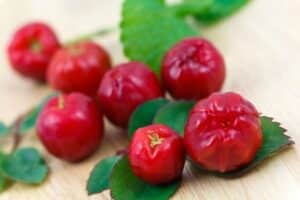 Acerola cherry