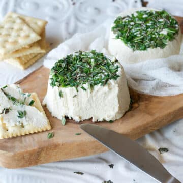 Vegan Herbed Garlic Cheez by Ann Oliverio